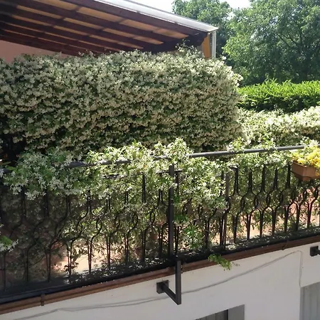Apartment Il Viale *